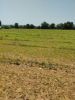 Picture of 47 Acres Highway Facing land for sale-SHAD NAGAR-HYDERABAD