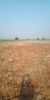 Picture of Agriculture land for sale at Dhone in Kurnool dist-Andhra Pradesh