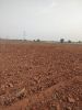 Picture of Agriculture land for sale at Dhone in Kurnool dist-Andhra Pradesh