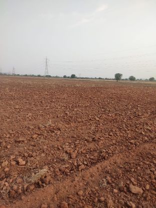 Picture of Agriculture land for sale at Dhone in Kurnool dist-Andhra Pradesh