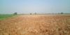 Picture of Agriculture land for sale at Dhone in Kurnool dist-Andhra Pradesh