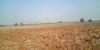 Picture of Agriculture land for sale at Dhone in Kurnool dist-Andhra Pradesh