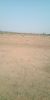 Picture of Agriculture land for sale at Dhone in Kurnool dist-Andhra Pradesh