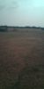 Picture of Agriculture land for sale at Dhone in Kurnool dist-Andhra Pradesh