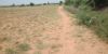 Picture of Agriculture land for sale at Dhone in Kurnool dist-Andhra Pradesh