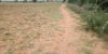 Picture of Agriculture land for sale at Dhone in Kurnool dist-Andhra Pradesh