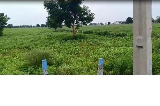 Picture of 53 Acres for sale - Vijayawada high way