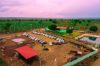 Picture of 300 Acre Integrated *DATES Farming in Telangana .
