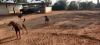 Picture of  Jala Academy Associate Test Product -3