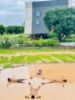Picture of Invest in Memories, Not Just Land - Iconic Farms