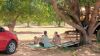 Picture of Invest in Memories, Not Just Land - Iconic Farms