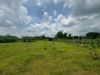 Picture of Open Plot for sale at Polepally, Jadcherla 